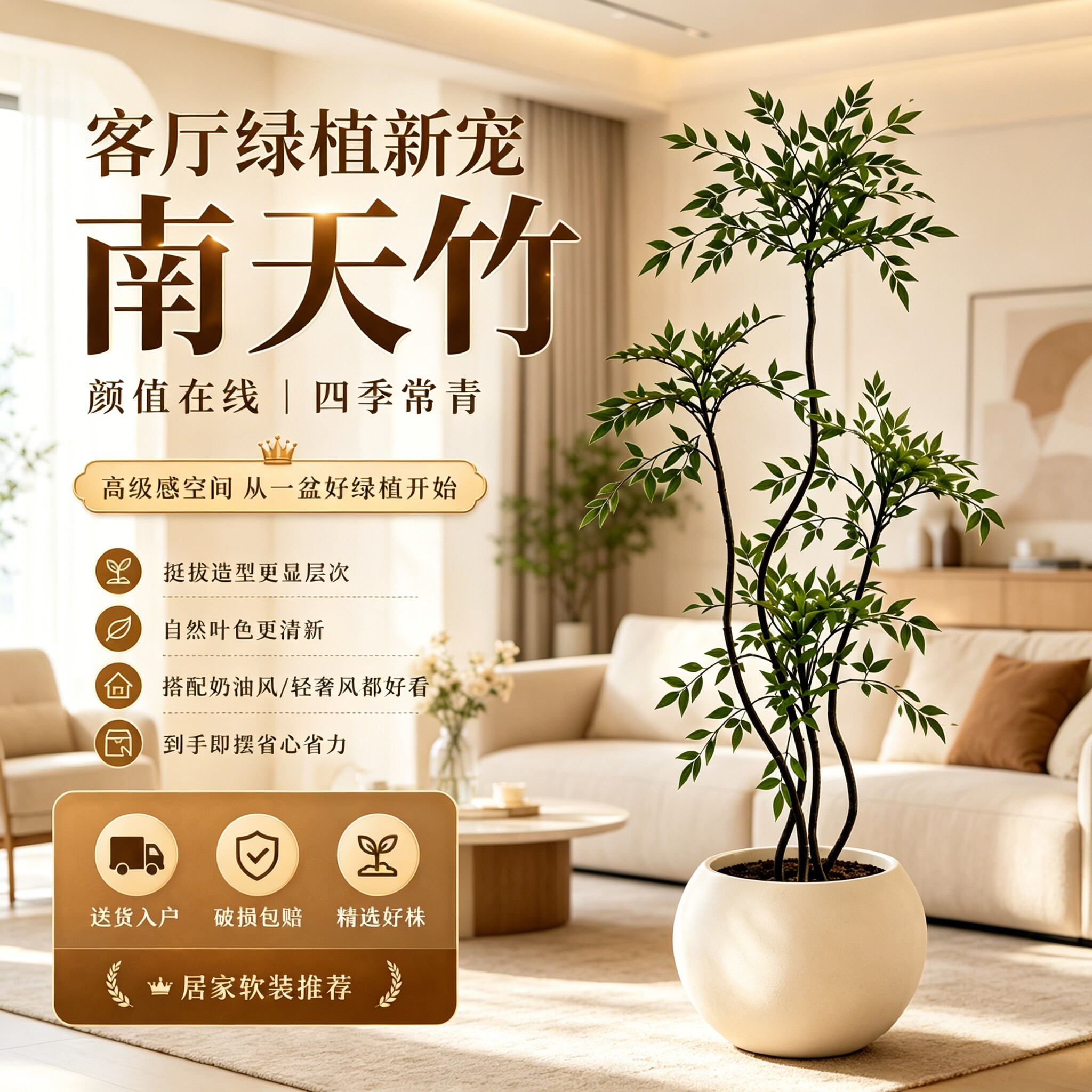 客厅办公室内大型植物盆栽南天竹