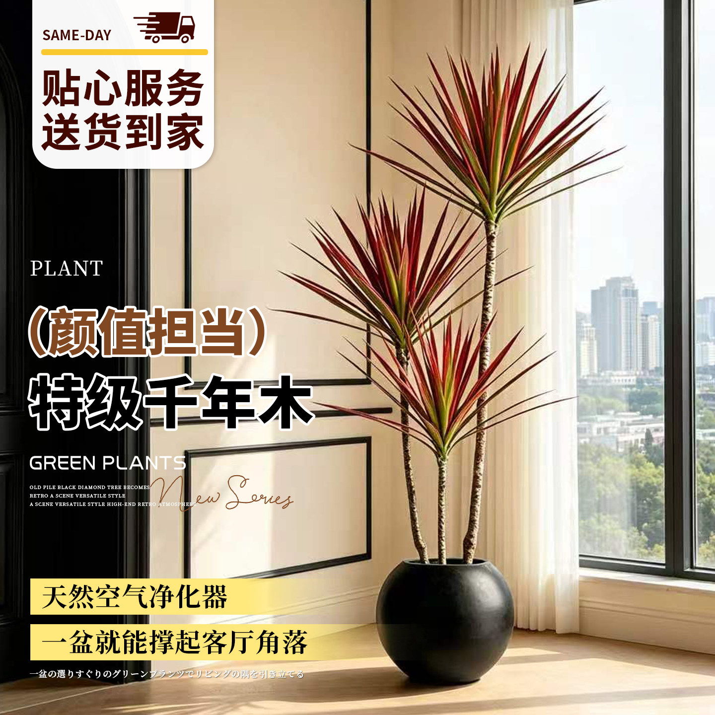 特级千年木客厅高级感盆栽