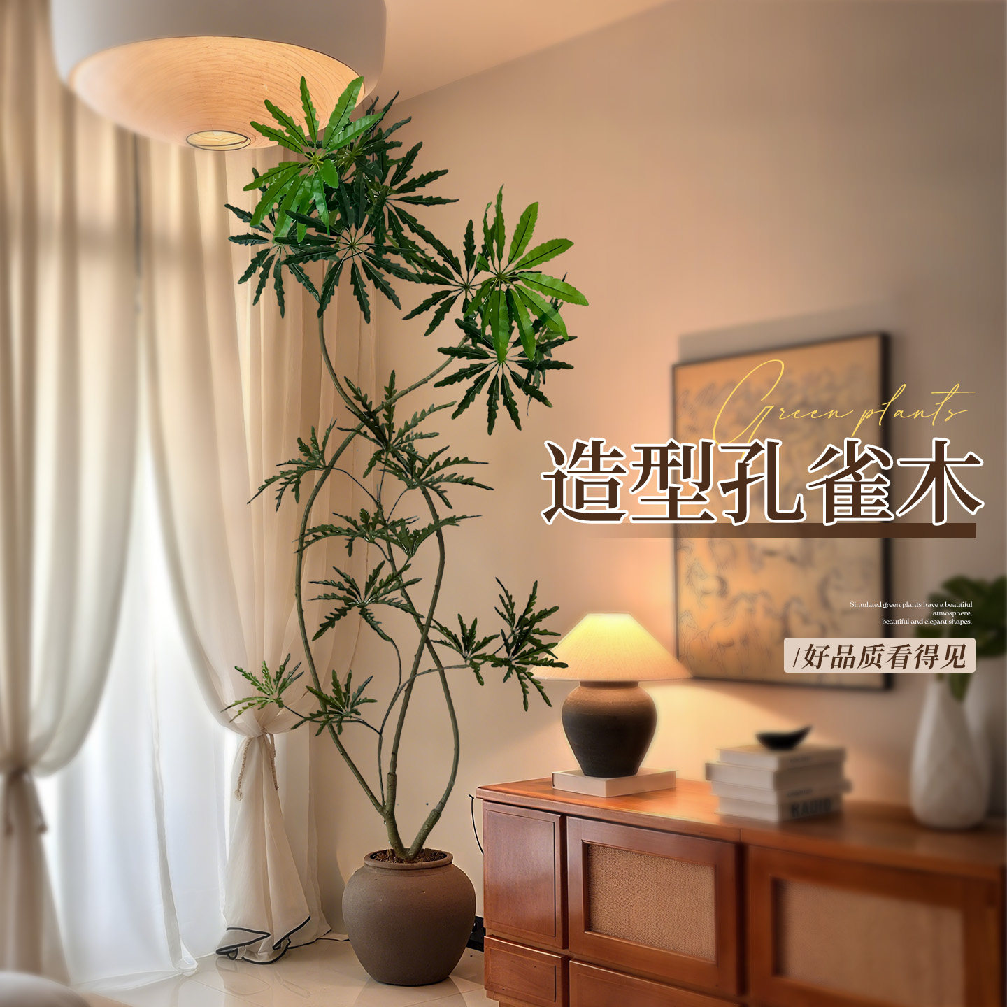 孔雀木客厅绿植盆栽高级感