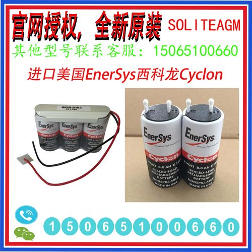 原装西科龙EnerSysCyclon