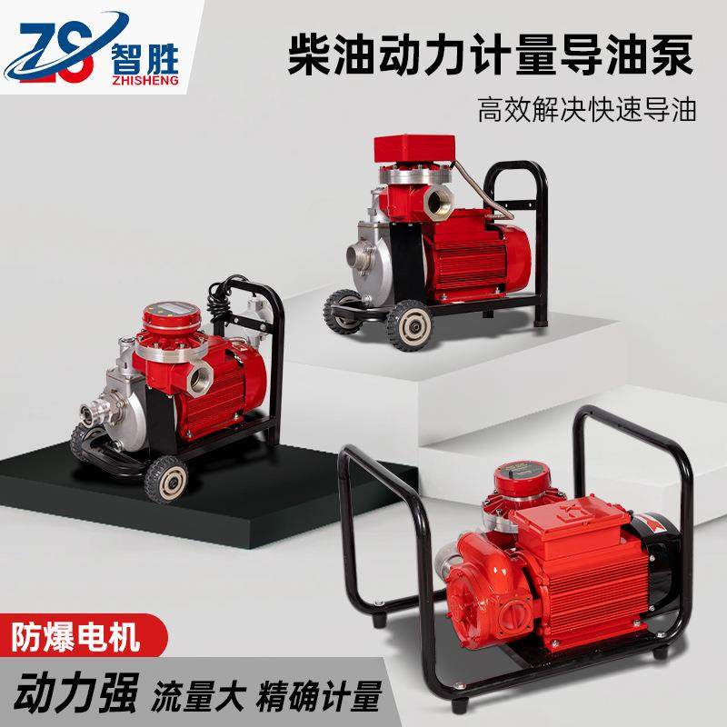 2寸2.5寸高扬程自吸大流量电动抽油泵柴油汽油防爆导油泵