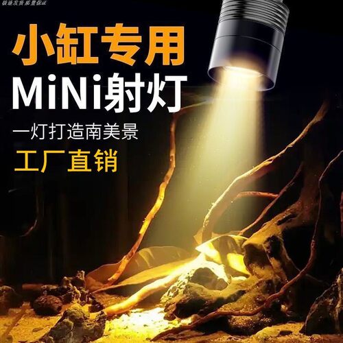 迷你鱼缸南美射灯夹灯方缸斗鱼缸