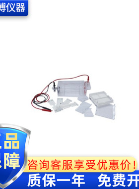 六一 琼脂糖水平电泳槽 DYCP-31DN 电泳 小号 垂直电泳槽