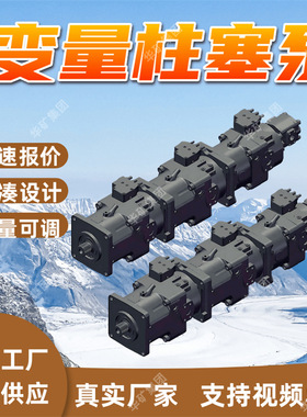 A11VL0260LRDS/11R-NZD12K17变量柱塞泵 流量可调 变量柱塞泵