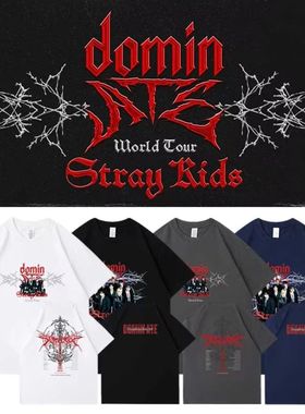 2025 Trend Kpop Stray T Shirt SKZ Men and Women Cotton T-shi