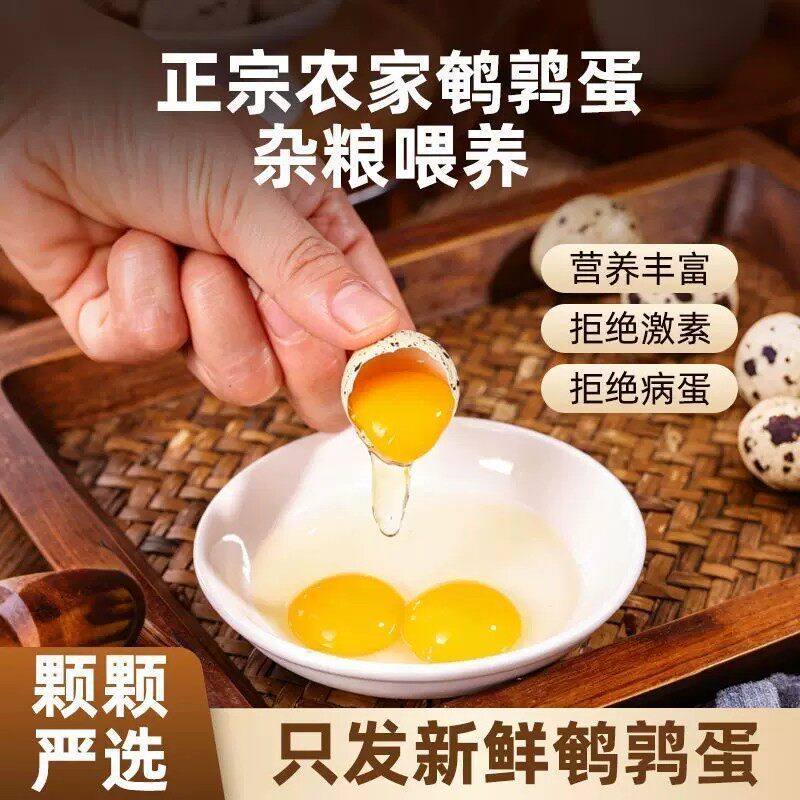 精品蛋50枚】新鲜生鹌鹑蛋农家散养杂粮当日高品质河南精选土特产