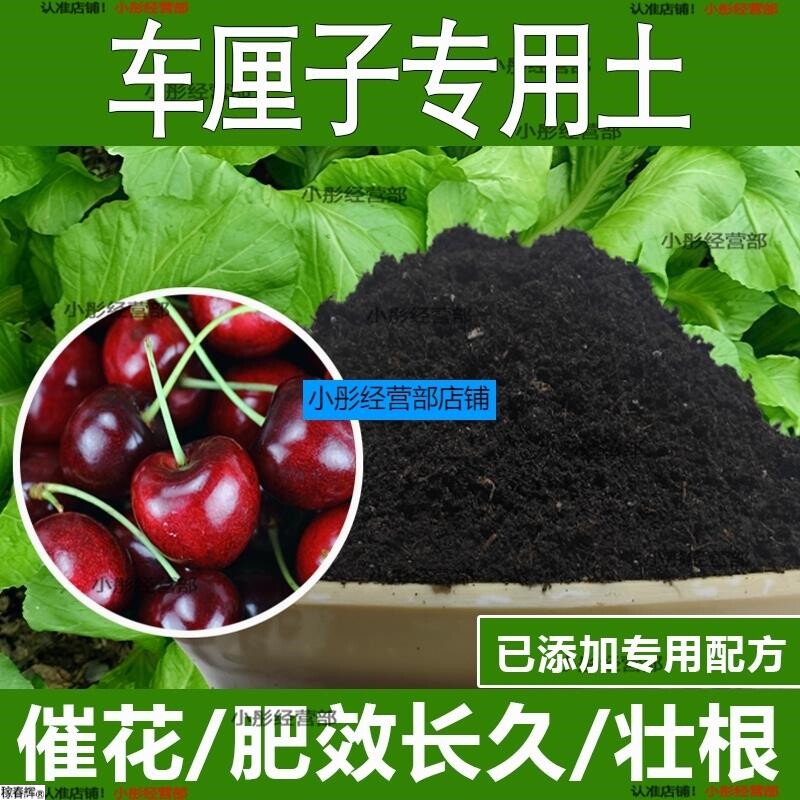 车厘子专用土车厘子专用营养土酸性土种植土通用土有机土肥料土壤