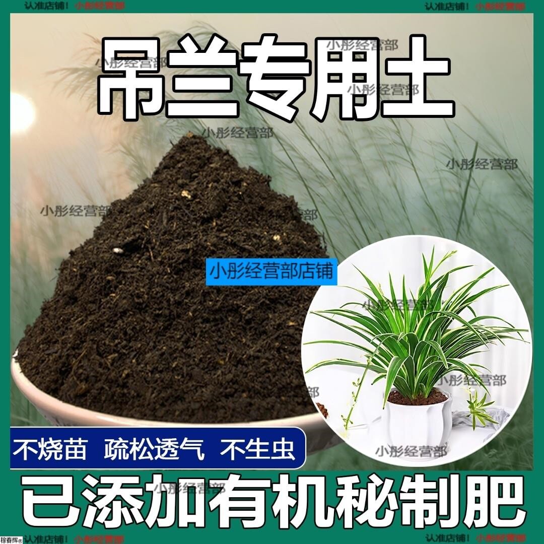 吊兰专用土肥料吊兰营养土室内绿植盆栽土壤天然种花土花卉种植土