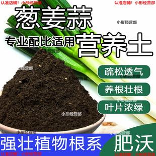 葱姜蒜专用土种菜土盆栽小葱辣椒营养土通用弱酸性蔬菜专用土壤