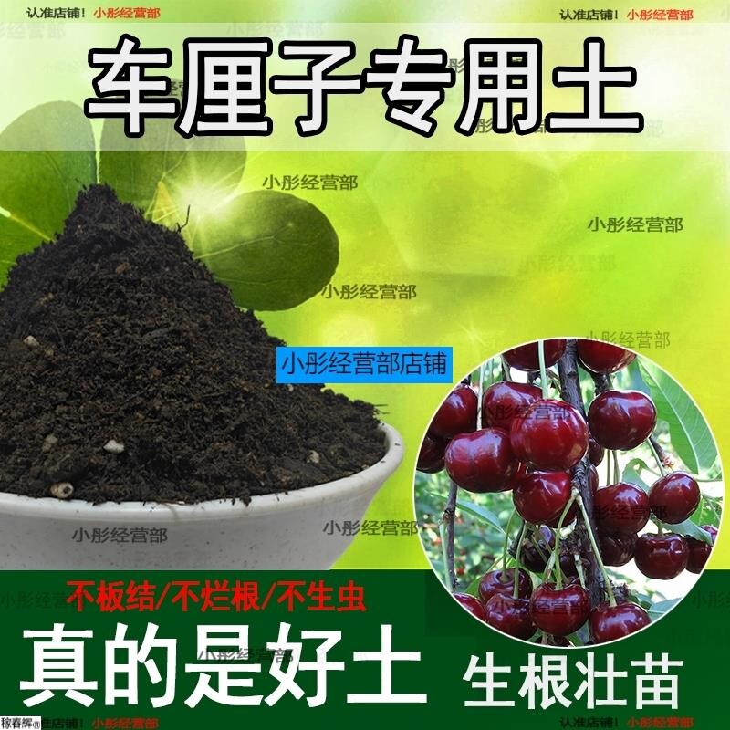 车厘子专用土樱桃树专用营养土盆栽土养花种花土通用种植土壤肥料
