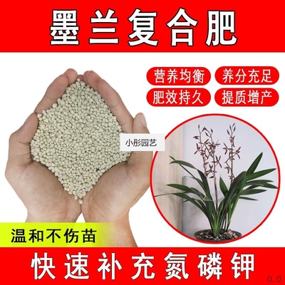 墨兰复合肥养花专用氮磷钾缓释肥有机肥颗粒化肥促花花卉通用