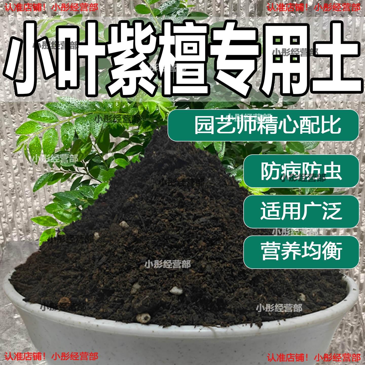 小叶紫檀专用土盆栽配方肥料小叶紫檀营养土透气泥土壤养花种植土