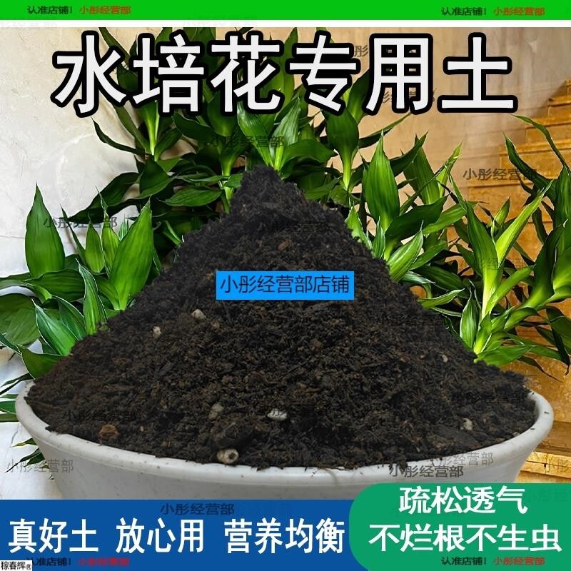 水培植物专用土盆栽土肥料养花泥土家庭阳透气种植水培植物营养土