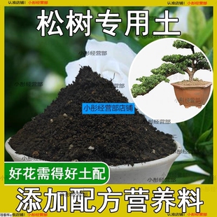 松树专用土五针松罗汉松黑松黄山松营养肥土营养土酸性土壤盆景土