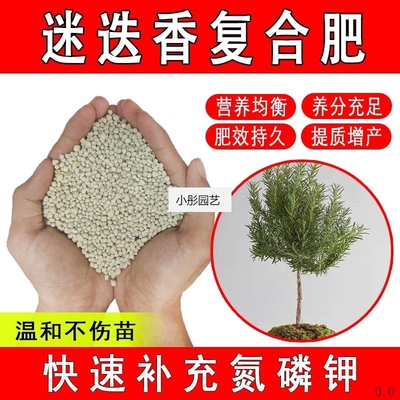 迷迭香复合肥养花专用氮磷钾缓释肥有机肥颗粒化肥促花花卉通用
