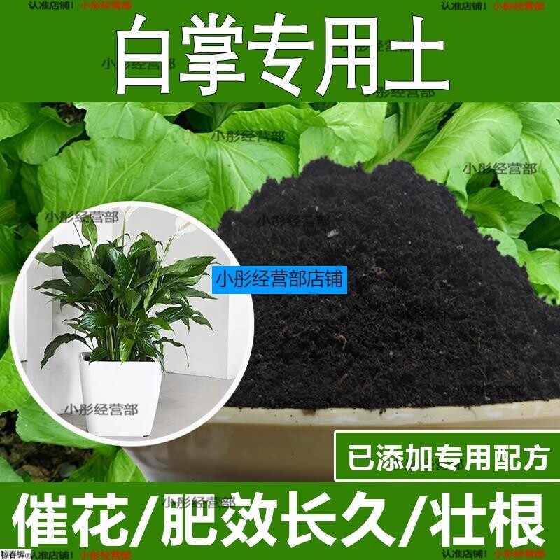 白掌专用土白掌专用营养土酸性土种植土通用土有机土肥料养花种花