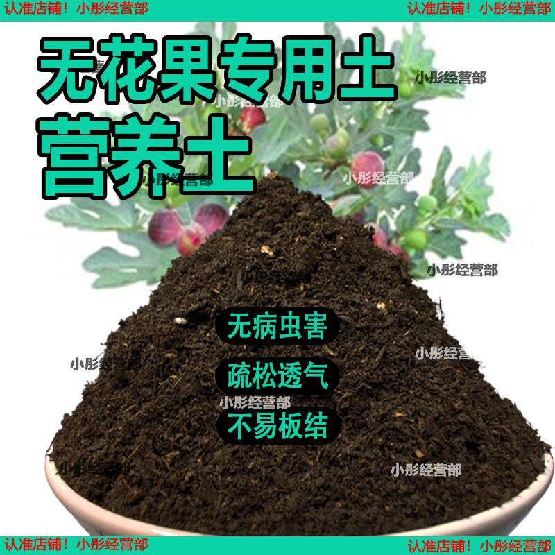无花果专用土盆栽营养土果树专用土无花果营养土壤种植土有机肥料