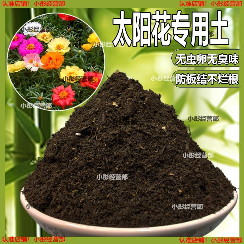 太阳花专用土花卉种植土壤太阳花营养土养花种花肥料盆栽有机花土