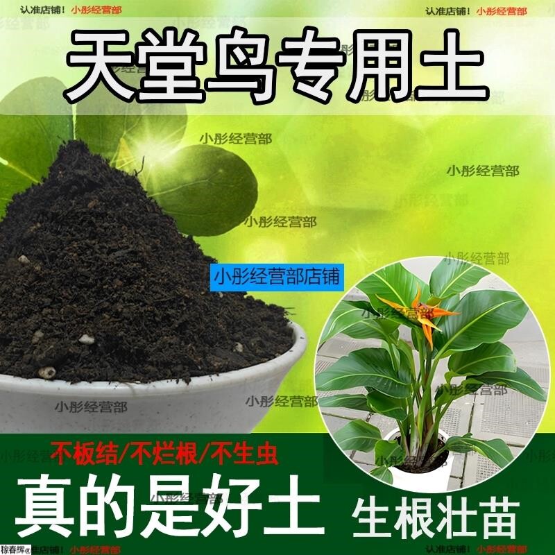 天堂鸟专用土盆栽养花泥土家庭种植土壤透气泥土天堂鸟营养土肥料
