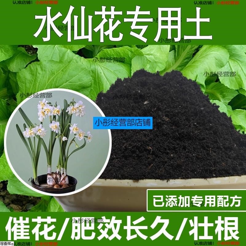 水仙花专用土水仙花专用营养土酸性土种植土通用土有机土肥料土壤