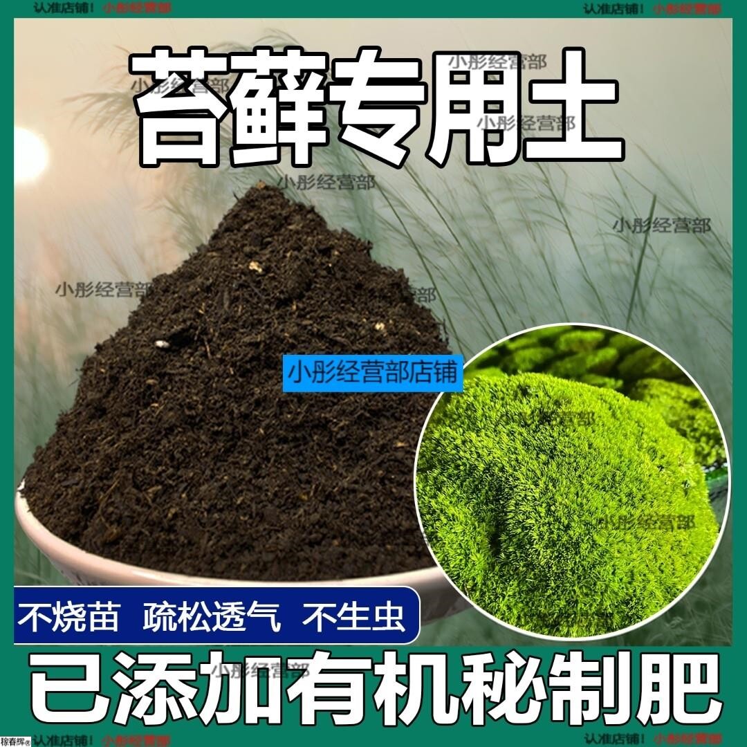 苔藓专用土苔藓花营养土微景观专用土通用盆栽种植花土壤肥料泥土