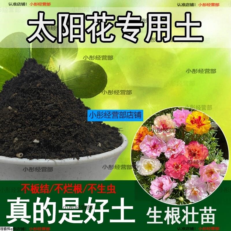 太阳花专用土花卉种植土壤太阳花营养土养花种花肥料盆栽有机花土