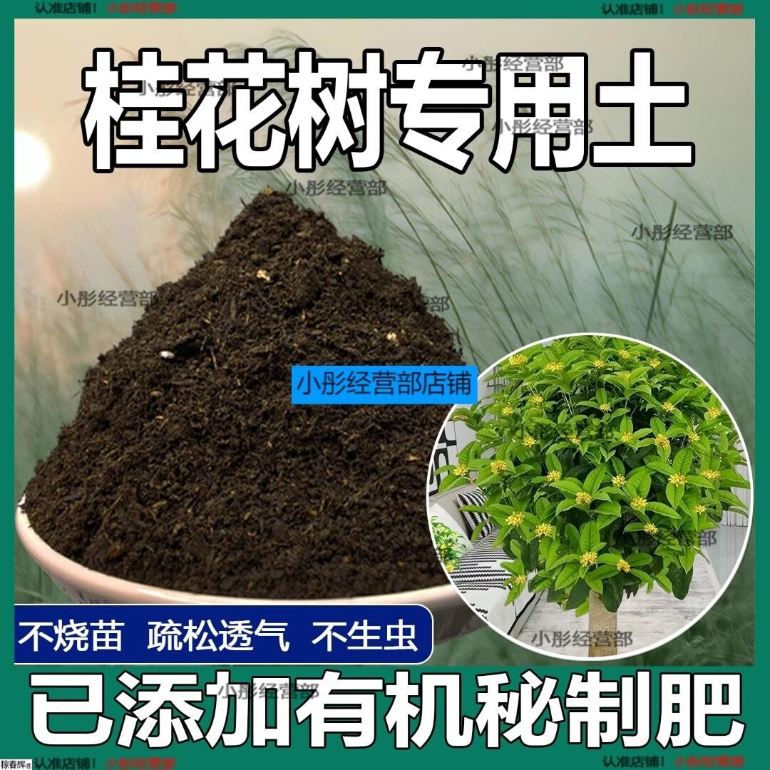 桂花树专用土桂花树专用营养土养花种花土通用种植土有机土壤肥料