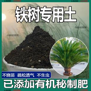 铁树专用土营养土透气通用土壤养花土壤家用种植土有机肥料培养土