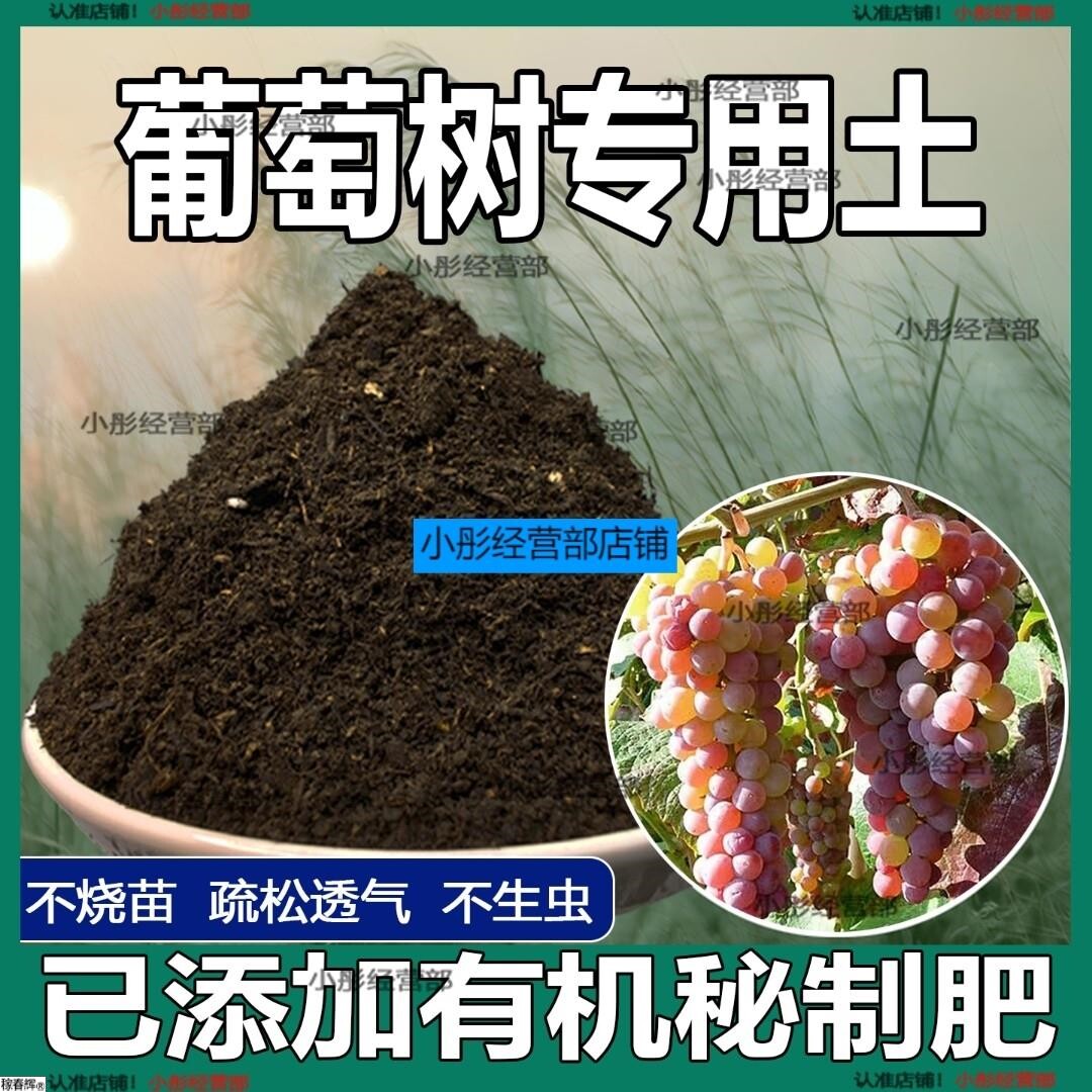 葡萄树专用土肥料室内种植育苗葡萄树种树营养土有机土土壤栽培土