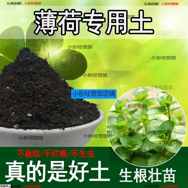 薄荷专用土薄荷土盆栽种植土养花营养土通用种花土壤绿植有机肥料