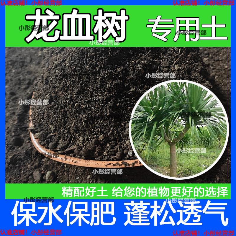 栽种龙血树专用土壤肥料通用型混合专用通用花土蓬松泥土无菌土壤