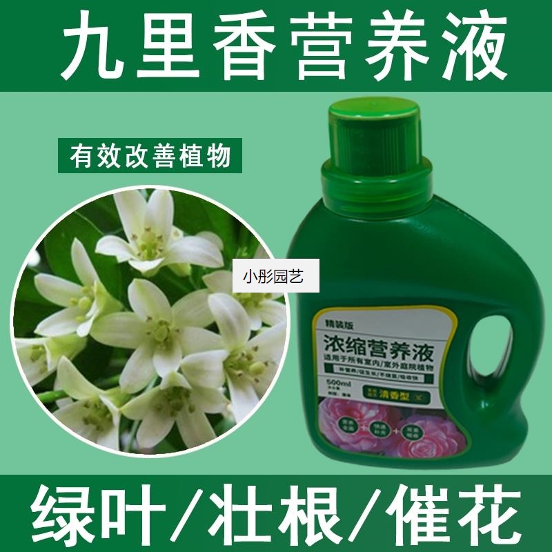 九里香营养液通用型九里香专用营养液花肥绿植水培植物肥料液体肥