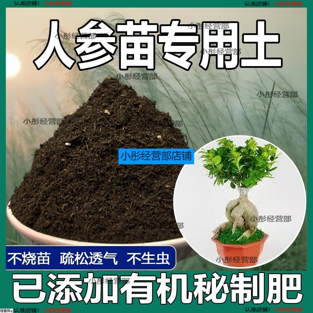 人参苗专用土人参苗土种植土壤营养土盆栽种花泥土透气通用养花土