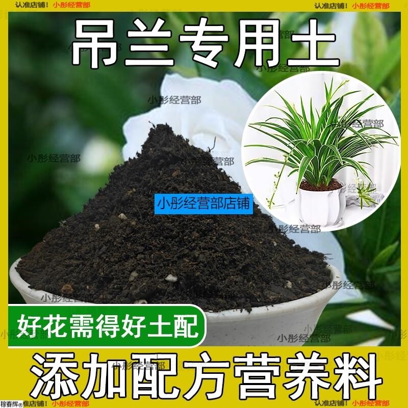 吊兰专用土肥料吊兰营养土室内绿植盆栽土壤天然种花土花卉种植土