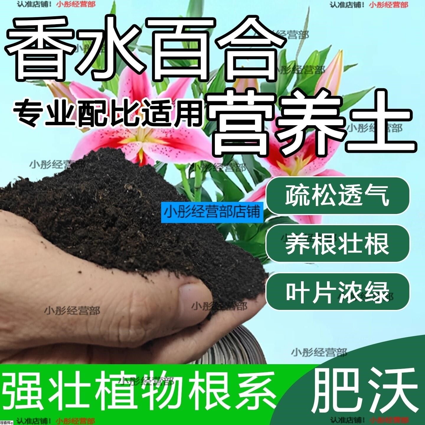 香水百合专用营养土 香水百合专用土 盆栽花土种花养花种植土壤