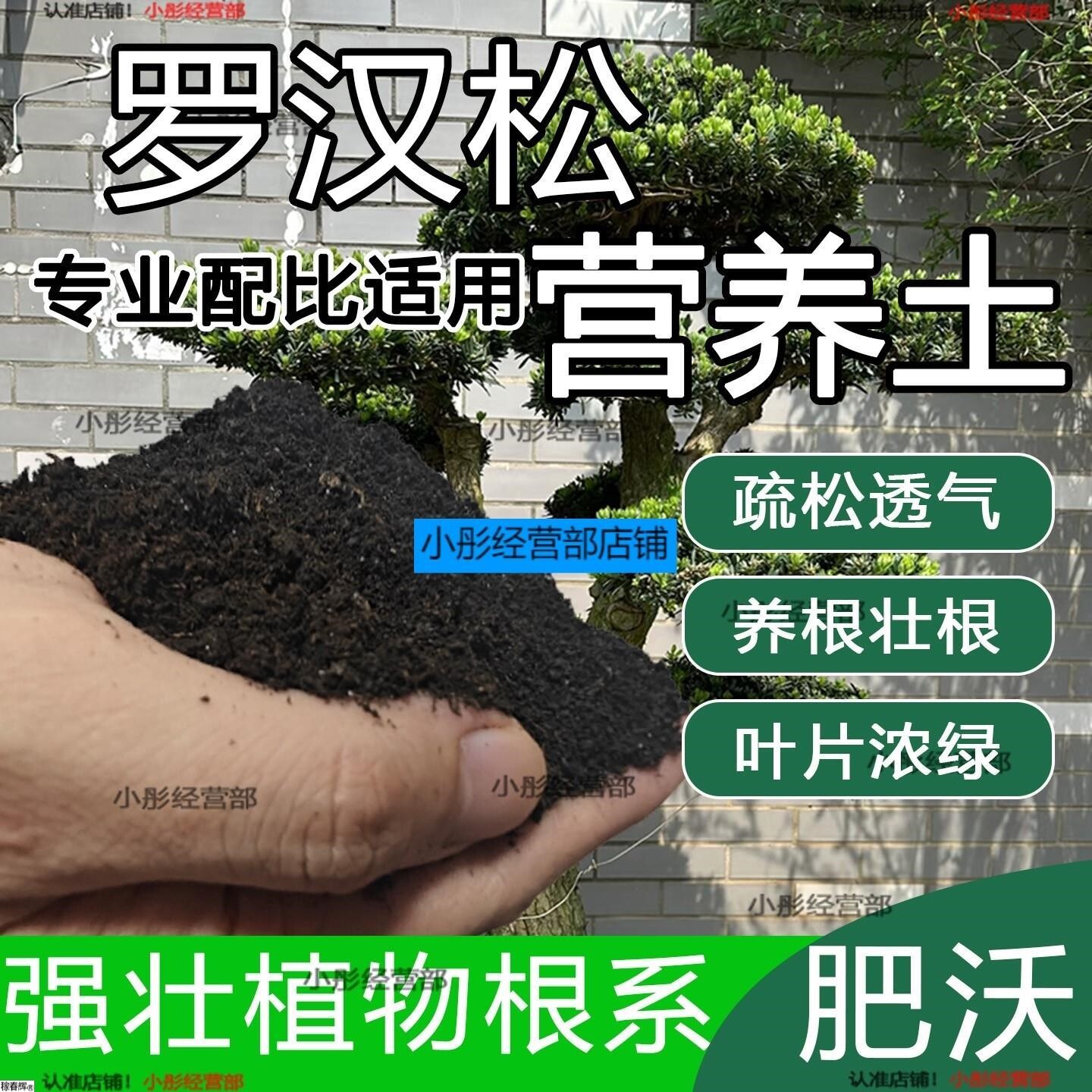 罗汉松专用土罗汉松专用肥料营养土盆栽土养花种花土种植土壤通用