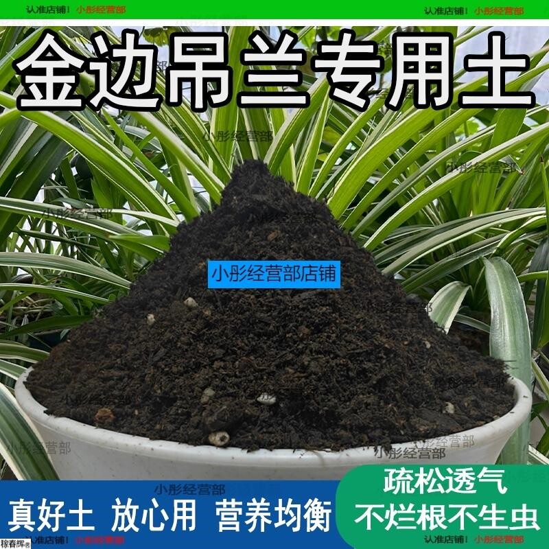 金边吊兰专用土吊兰土盆栽营养土通用种花养花泥土壤种植土有机肥
