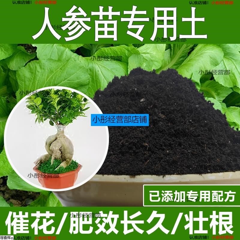 人参苗专用土人参苗专用营养土酸性土种植土通用土有机土肥料土壤