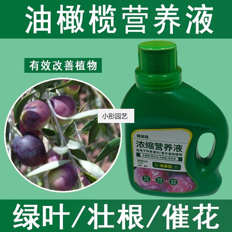 油橄榄营养液通用型油橄榄专用营养液花肥绿植水培植物肥料液体肥