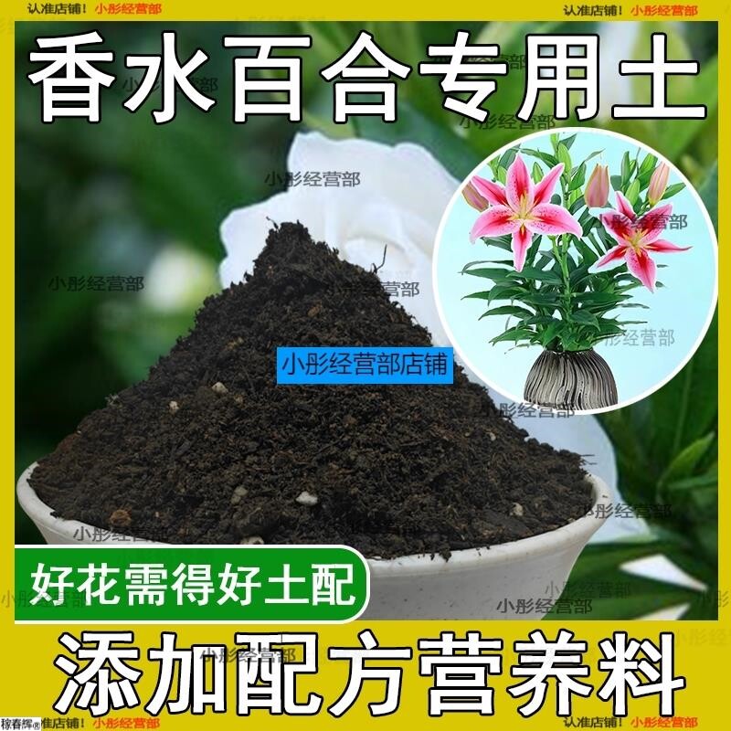 香水百合专用营养土 香水百合专用土 盆栽花土种花养花种植土壤