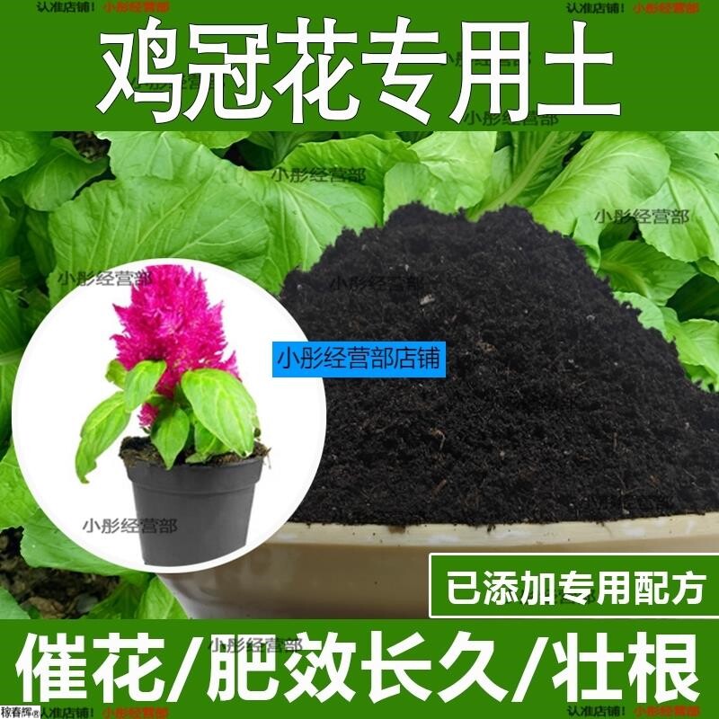 鸡冠花专用土鸡冠花专用营养土酸性土种植土通用土有机土肥料土壤