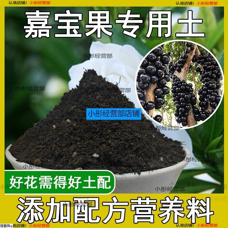 嘉宝果专用土家用植物种植土壤嘉宝果营养土农业果树泥土有机土