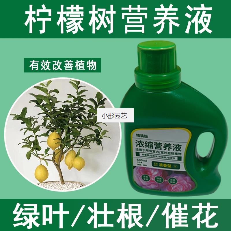柠檬树营养液通用型柠檬树专用营养液花肥绿植水培植物肥料液体肥