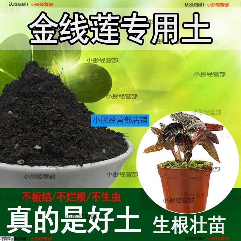 金线莲专用土金线莲专用营养土盆栽土养花种花土通用种植土壤肥料