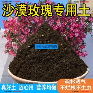 沙漠玫瑰专用土养花盆栽土沙漠玫瑰营养土种植土肥料微酸性土壤
