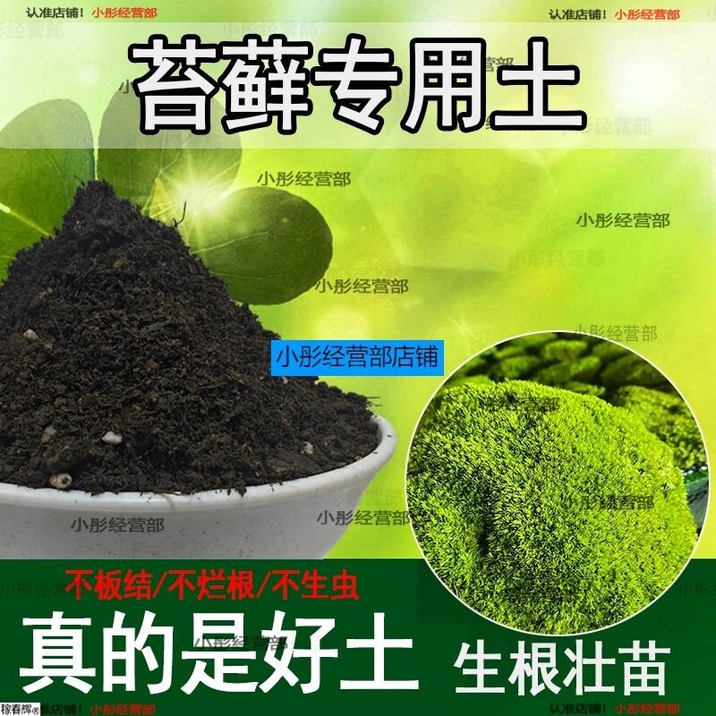 苔藓专用土苔藓花营养土微景观专用土通用盆栽种植花土壤肥料泥土