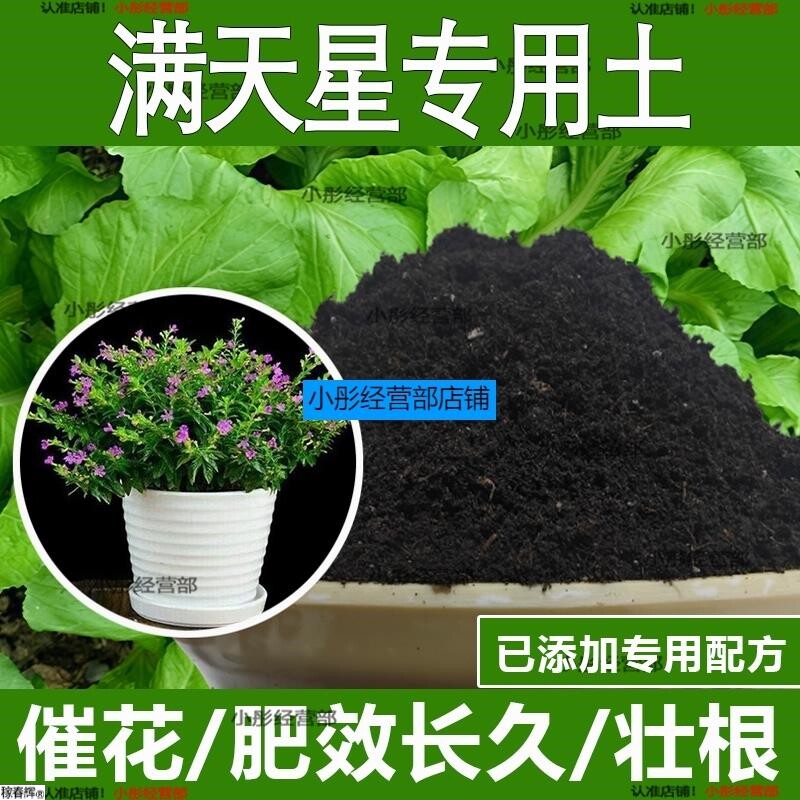 满天星专用土满天星专用营养土酸性土种植土通用土有机土肥料土壤