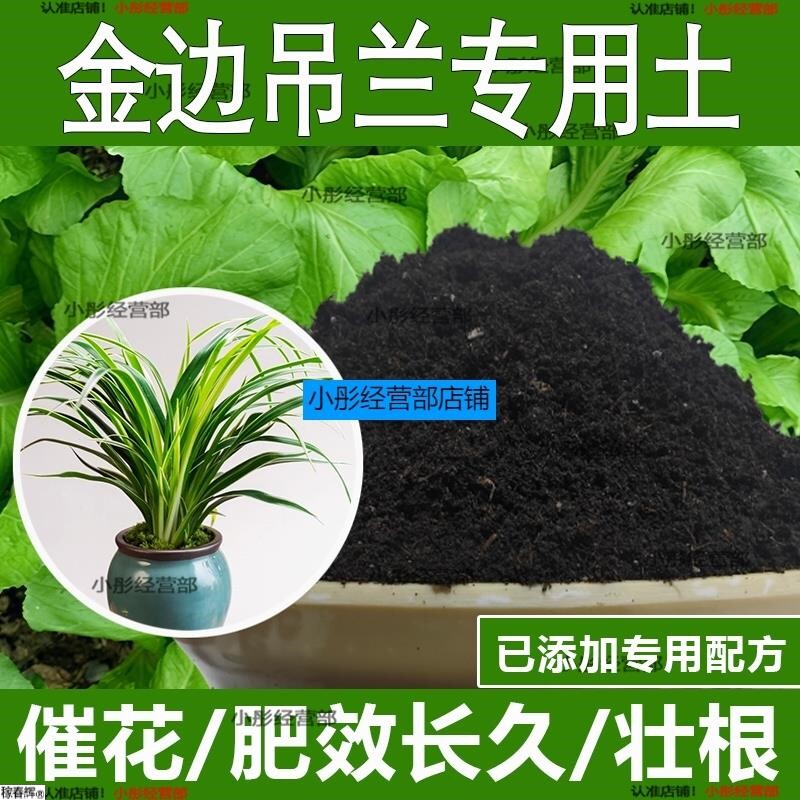 金边吊兰专用土金边吊兰专用营养土酸性土种植土通用土有机土肥料