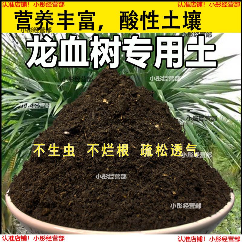 栽种龙血树专用土壤肥料通用型混合专用通用花土蓬松泥土无菌土壤