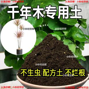 千年木专用土肥料盆栽土壤园艺养花育苗花土阳台千年木营养土蓬松